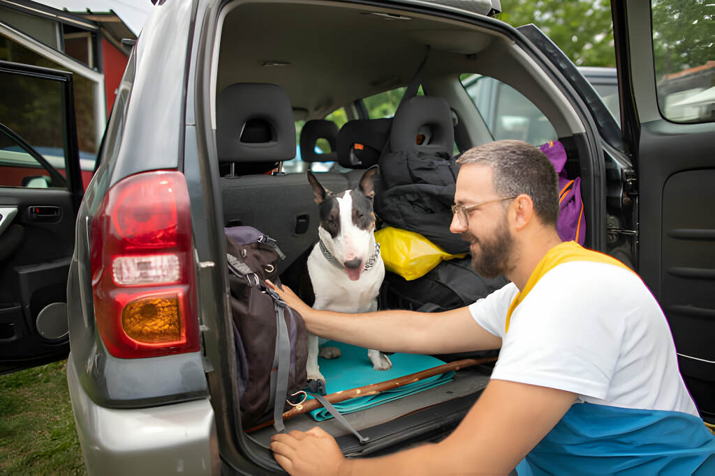 Dog Daycare Pick-Up Services