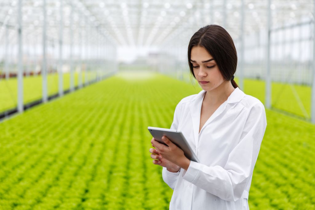 Agricultural Accountant Matching Industrial Standards